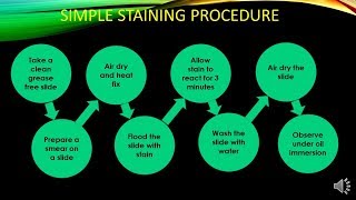 Simple staining Procedure and its Mechanism  Microbiology with Sumi [upl. by Roselia]