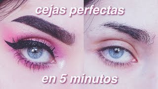 Cejas on fleek en casa paso a paso  Como maquillarlas y depilarlas Tutorial [upl. by Balduin936]