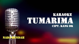 TUMARIMA KARAOKE IINK KURNIA NADA RENDAH [upl. by Nosila]