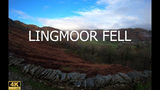 LINGMOOR FELL  ELTERWATER  SOUTHERN FELLS  THE LAKE DISTRICT  WAINWRIGHT [upl. by Ielak]