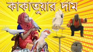 Cockatoo Price in Bangladesh [upl. by Anej896]