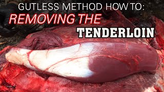 The Gutless Method Removing the Tenderloin How To [upl. by Lemaceon]