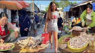 Street Food Tour in Siem Reap Province amp City Cambodia Countryside Market Best Food Compilation [upl. by Narcho476]