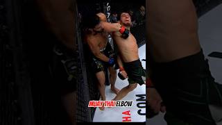 Muay Thai elbow blow 🥊 muaythai mma punch [upl. by Nnaul551]