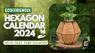 Eco Friendly Calendar for 2024 with Test Tube Planter  Wooden Hexagon Calendar 2024 [upl. by Shanahan]