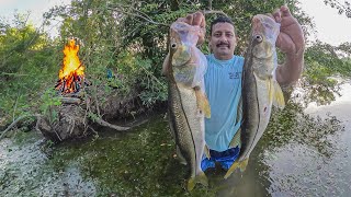 Pescando ROBALOS DE RIO Con arpón y cocinando con un bello atardecer [upl. by Ehudd]