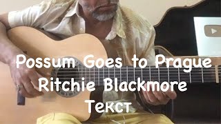 Possum Goes to Prague  Ritchie Blackmore  cover [upl. by Gilder]