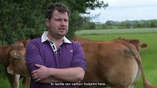 Sustainable cattle production with Maxammon and Rumitech Matty Jordon Longhirst Limousins [upl. by Aron]