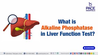 Alkaline Phosphatase  What is Alkaline Phosphatase in Liver Function Test  liverfunctiontest [upl. by Eceinart]