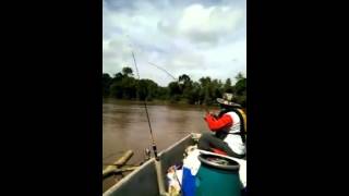 Teknik Mancing Udang Galah [upl. by Dmitri415]