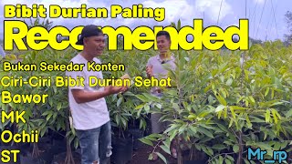 REVIEW STOK BIBIT DURIAN 15 METER UPGRADE A PALING RECOMENDED‼️ [upl. by Elidad152]