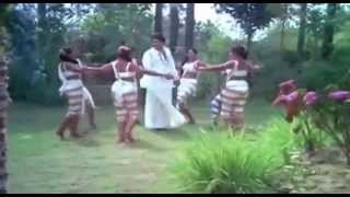 Vinnil Ninnum Vannirangum  Enthino Pookkunna pookkal  Malayalam Film Song HD [upl. by Mchail]