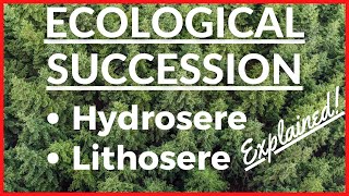 Ecological Succession  Hydrosere and Lithosere Succession Stages  Primary and Secondary Succession [upl. by Ong]