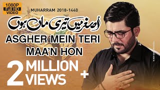 Nohay 2018  Asghar ع Main Teri Maa Hun  Mir Hasan Mir Noha 2018  Babul Hawaij  Nohay 2019 [upl. by Anelhtak]