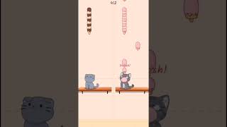 Duet Cats cat duet duetcats gaming cute [upl. by Oisinoid423]