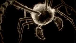 2010 Monster Bug Wars Showreel [upl. by Ballard]