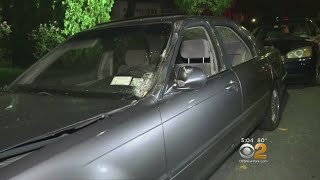 Tractor Trailer Dragging Tree Leaves Trail Of Destruction In Queens [upl. by Iidnarb927]