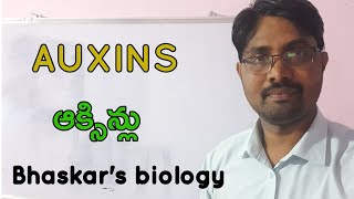 Auxins class 12 From Bhaskars biology [upl. by Plato]