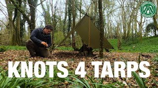 The 3 Essential KNOTS for Tarps  Camping amp Bushcraft  Tarpology Essentials  Plus a Thank You [upl. by Belshin]