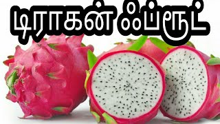 டிராகன் ஃப்ரூட் Dragon fruit How to cut Dragon fruit Dragon fruit benefits Tamil [upl. by Novy863]