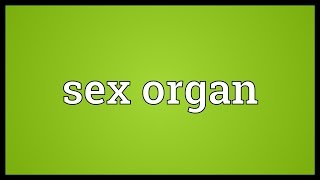 Sex organ Meaning [upl. by Abbi630]