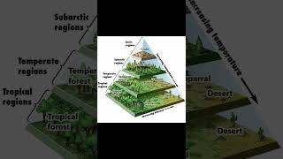 Vegetation  verticals  tropicaltemperate and arctic regions and vegetations [upl. by Megdal]