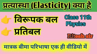 Pratyastha class 11 physics  Elasticity  Ritesh sir [upl. by Tudela]