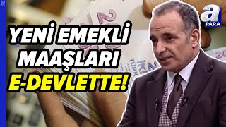 Yeni Emekli Maaşları EDevlette Fazla Görünen Miktar Ne Anlama Geliyor Faruk Erdem Yanıtladı [upl. by Haskel]