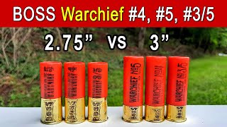 Are 3quot Bismuth Shotshells Worth It BOSS Warchief TESTED [upl. by Lambert]