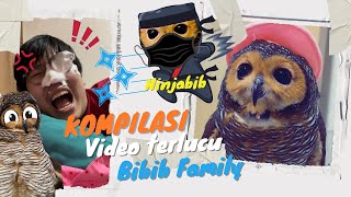 Kompilasi Video Bibib Terlucu Episode 2 [upl. by Irby]