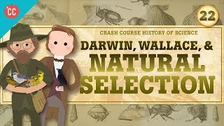 Darwin and Natural Selection Crash Course History of Science 22 [upl. by Firmin]