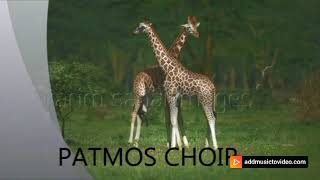 Twifitiye amazu meza by Patmos Choir SDA [upl. by Shargel502]