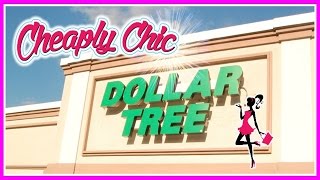 Dollar Tree Haul Back to School goodness  July 2016 [upl. by Joanna]