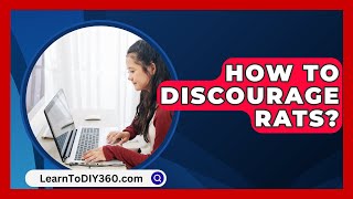 How To Discourage Rats  LearnToDIY360com [upl. by Tloc]