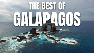 The Best of Galápagos  Exploring a Wildlife Paradise [upl. by Yrrek]