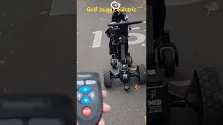 Golf Buggy Electric [upl. by Ryder]