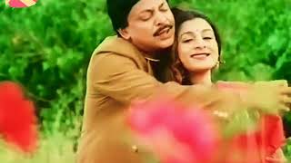 Tu tu tu tumaku full HD song  Mihir das song  Singhabahini odia movie [upl. by Akirrehs]