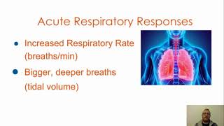 Acute Responses to exercise 12 [upl. by Edya]