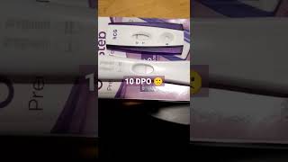 live pregnancy test results 10 DPO still negative ttc shorts pregnancy tryingtogetpregnant [upl. by Banerjee286]