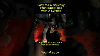 Easy to Fix Squeaky Front End Noise With A Syringeautomotive mechaniclife autoexpert XpertGarage [upl. by Neal]