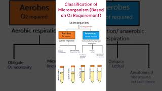 Classification of Microorganism O2 Requirement microbiology classification [upl. by Queri]