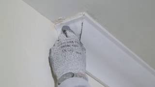 Instructional Video on installing Gyproc Cove amp Cornice  British Gypsum [upl. by Ellissa866]