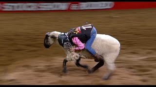 Mutton Bustin highlights  San Antonio Rodeo  Feb 16 2024 [upl. by Enixam659]