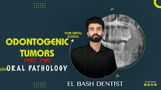 odontogenic tumors  part 2  oral pathology عزت شومان [upl. by Yemorej]