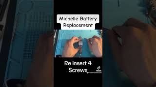 Michelle Battery Replacement [upl. by Leihcey]