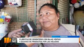 Floristas de cementerio con bajas ventas y escasez de productos por las heladas [upl. by Anna-Diana454]