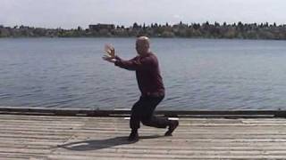 Chen Style Taijiquan 38 Form [upl. by Aryaz]