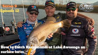 How to Catch Barramundi at Lake Awoonga [upl. by Gerick]