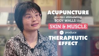 How does acupuncture work  RMIT University [upl. by Algie]