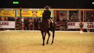 Doma Vaquera  Francisco Diaz Rodriguez  Cocodrilo  Trofeo città di Milano  Accad Arte Equestre [upl. by Batruk]